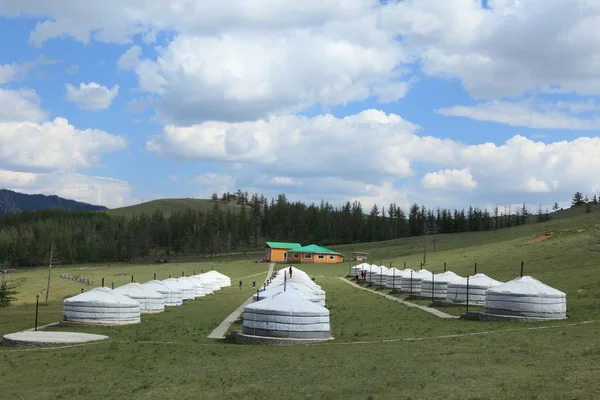 Yurt Village Gorkhi Terelj Parco nazionale Mongolia — Foto Stock