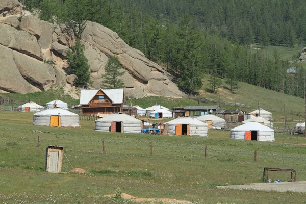 Yurt Village Gorkhi Terelj Parco nazionale Mongolia — Foto Stock