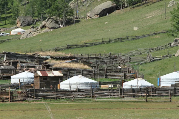 Yurt Village Gorkhi Terelj Nationalpark Mongolia —  Fotos de Stock