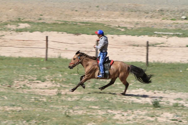 Jinete mongol — Foto de Stock