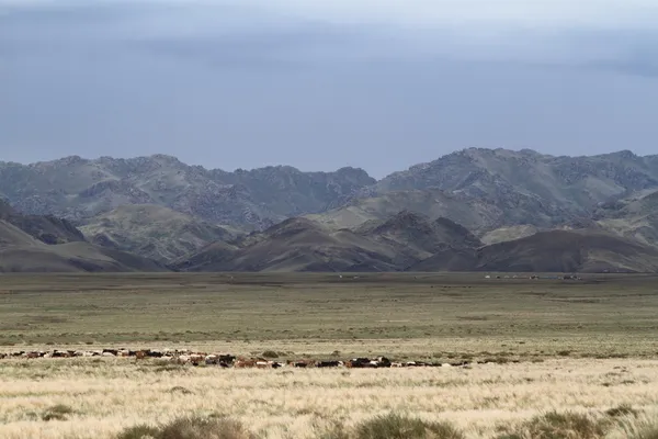 Paisaje y naturaleza de Mongolia — Foto de Stock