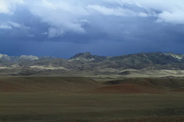몽골 풍경에서 장 마 — 스톡 사진