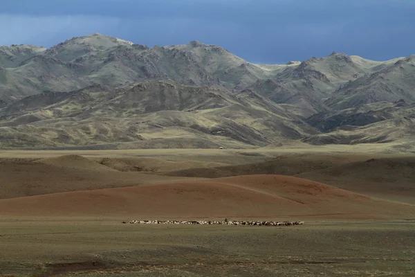 Mongoliska landskap — Stockfoto