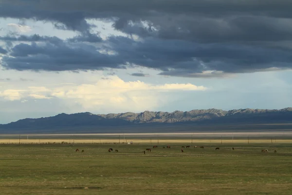 Regenseizoen in de Mongoolse landschap — Stockfoto