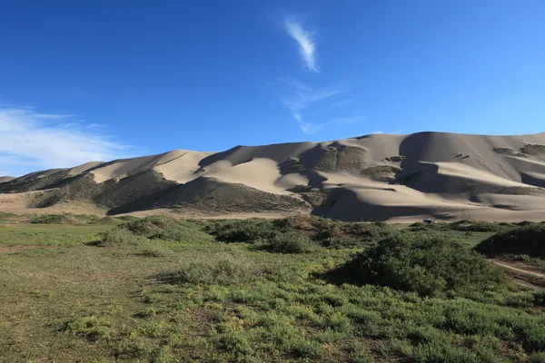 Çölde vaha gobi Moğolistan — Stok fotoğraf