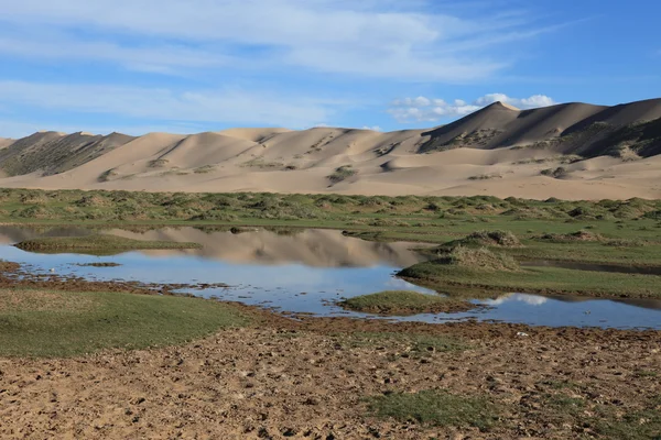 Oásis no deserto Gobi — Fotografia de Stock