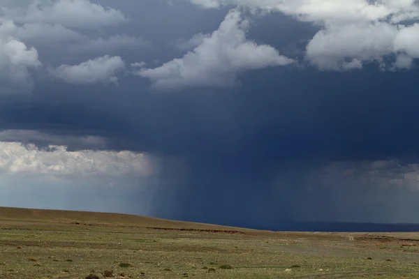 Rainy Season in the Desert Gobi — Stock Photo, Image