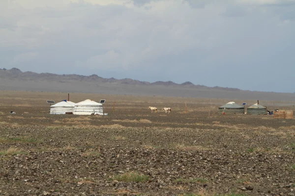 Jurtendorf in der Wüste Gobi der Mongolei — Stockfoto