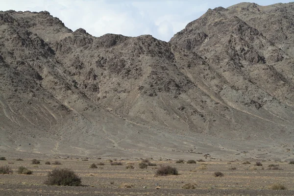 Paisaje mongoliano — Foto de Stock