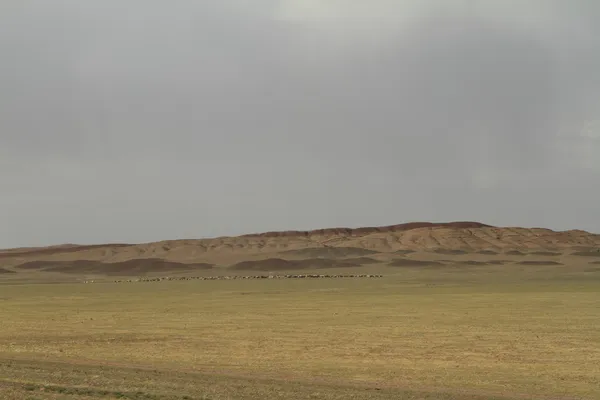 Der Wüstengobi der Mongolei — Stockfoto