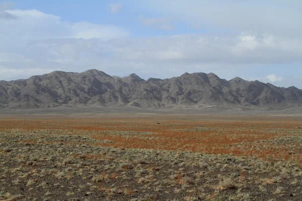 Öknen Gobiöknen i Mongoliet — Stockfoto