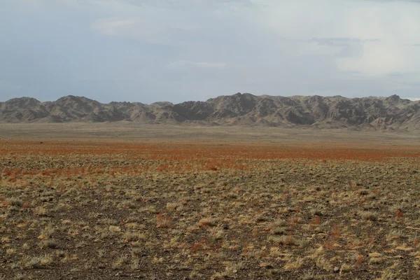 Der Wüstengobi der Mongolei — Stockfoto