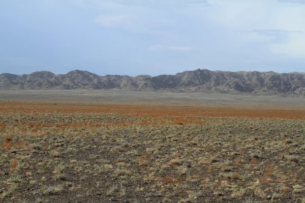 Der Wüstengobi der Mongolei — Stockfoto