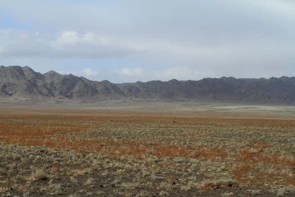 사막 몽골의 고비 — 스톡 사진