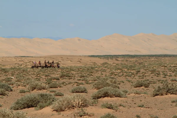 Kamel karavan i öknen gobi — Stockfoto