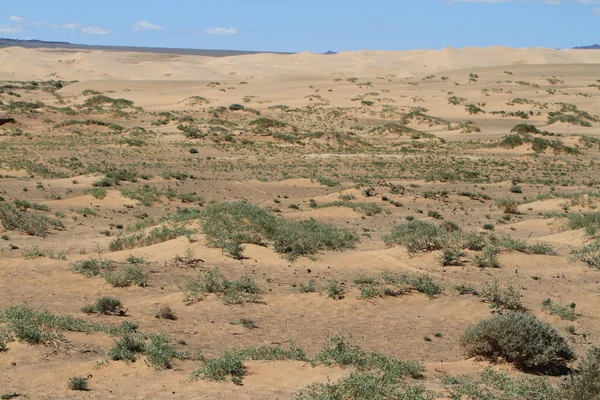 Oase in der Wüste Gobi Mongolei — Stockfoto