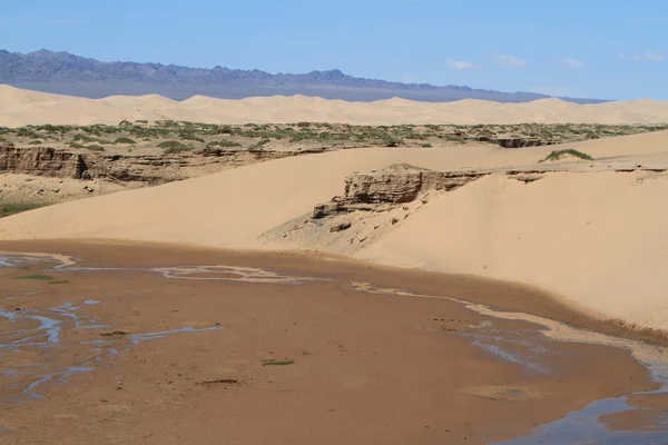 Oase in der Wüste Gobi Mongolei — Stockfoto