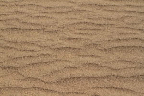 Sand Structure in the Desert — Stock Photo, Image