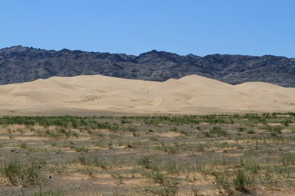 O Gobi do Deserto na Mongólia — Fotografia de Stock