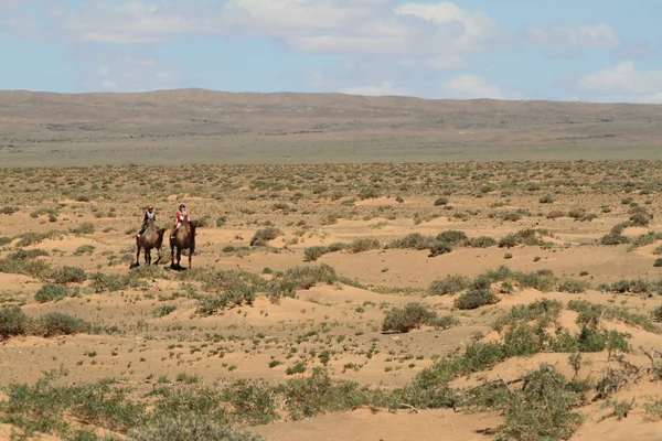 Kamelkarawane in der Wüste Gobi — Stockfoto