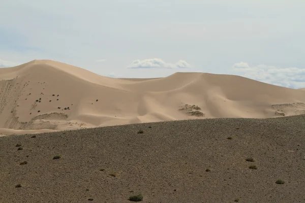 The Desert Gobi at Mongolia — Stock Photo, Image
