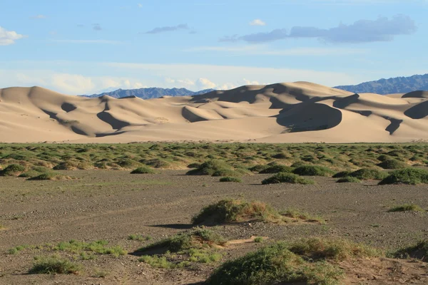 在沙漠里的沙丘戈壁蒙古 — 图库照片