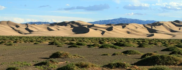 Dunas de arena en el desierto Gobi Mongolia —  Fotos de Stock