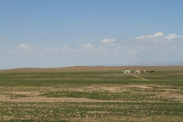 Poušť gobi v Mongolsku — Stock fotografie