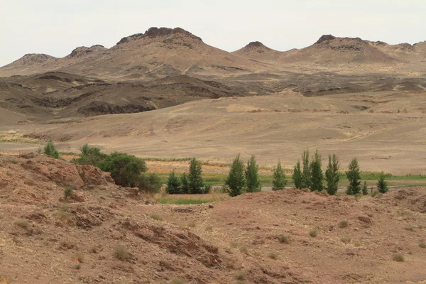 Pustyni gobi w Mongolii — Zdjęcie stockowe