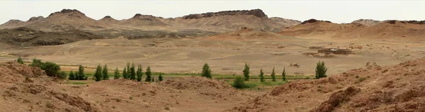 Poušť gobi v Mongolsku — Stock fotografie