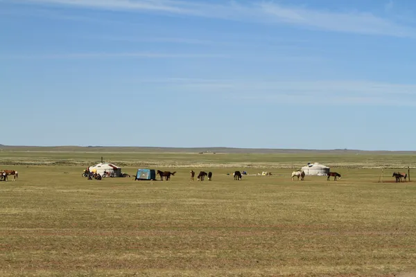 Yurt dorp in de Mongoolse steppe — Stockfoto