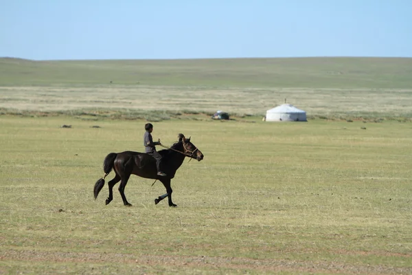 Mongolischer Hirte — Stockfoto