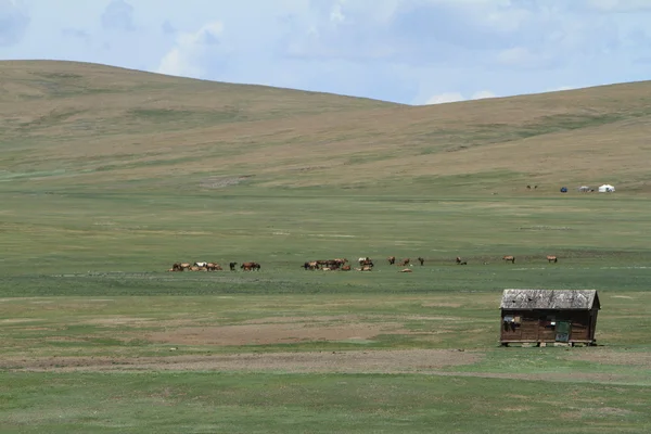 Parco Nazionale della Valle dell'Orkhon Mongolia — Foto Stock