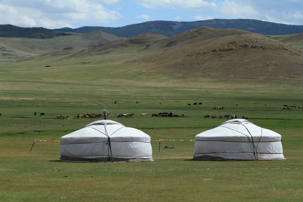 Yurt dorp in de Mongoolse steppe — Stockfoto