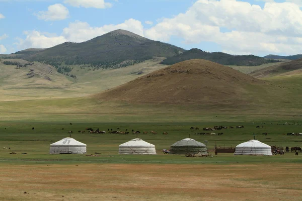 Yurt dorp in de Mongoolse steppe — Stockfoto