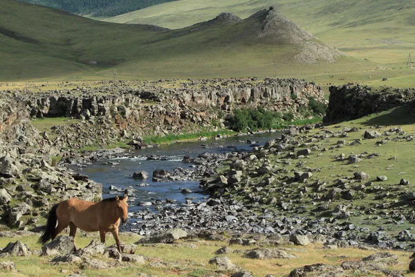 Parque Nacional do Vale do Orkhon Mongólia — Fotografia de Stock