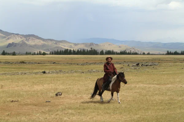 Монгольский пастух — стоковое фото