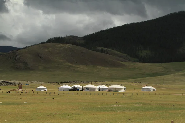 Yurt dorp in de Mongoolse steppe — Stockfoto