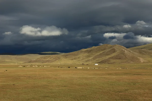 鄂尔浑河谷蒙古 — 图库照片