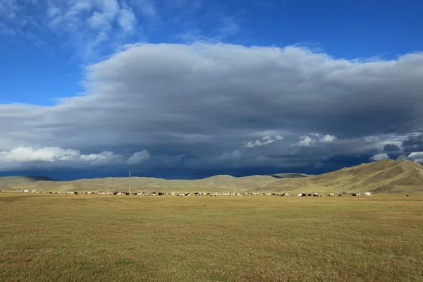 鄂尔浑河谷蒙古 — 图库照片
