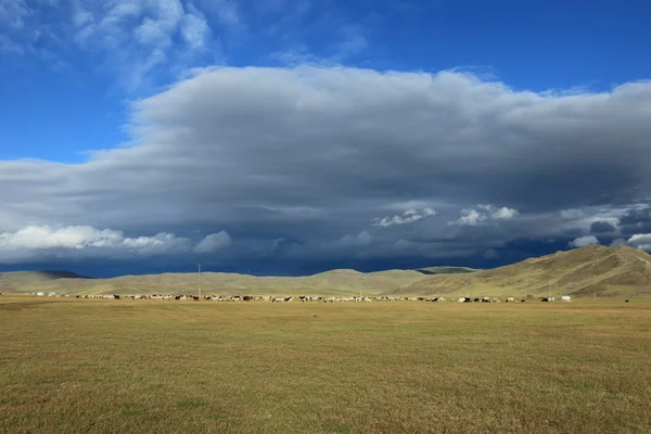 Die Mongolei im Orchon-Tal — Stockfoto