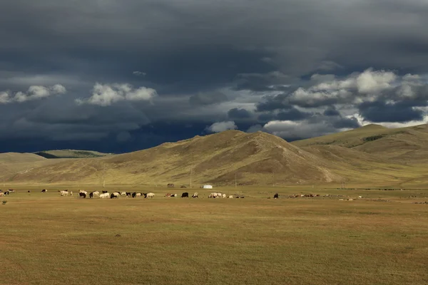 De Orhon vallei Mongolië — Stockfoto