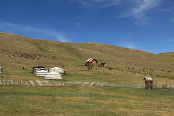 Pueblo de Yurt en Mongolia — Foto de Stock