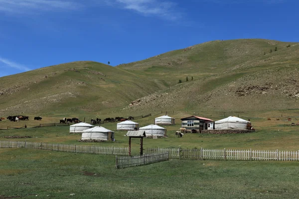 Jurty vesnice v Mongolsku — Stock fotografie