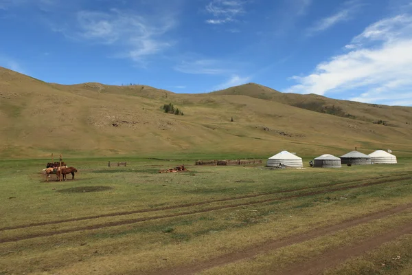 Jurtendorf in der Mongolei — Stockfoto