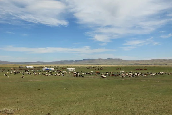 Mongolské krajiny — Stock fotografie