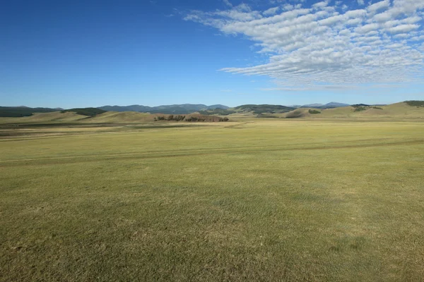 Mongoolse landschappen — Stockfoto