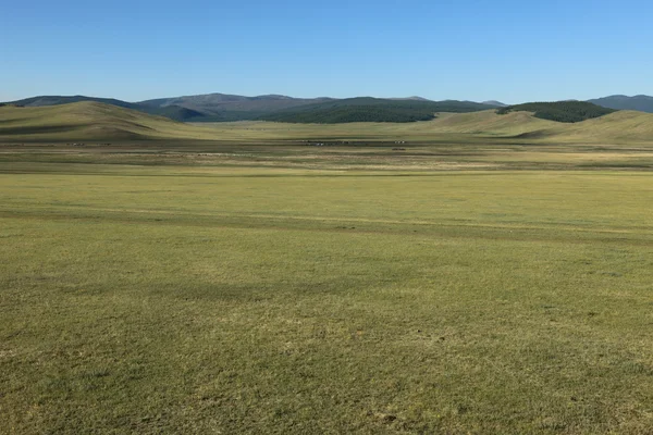 Mongolian Landscapes — Stock Photo, Image