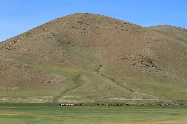 Moğol manzaralar — Stok fotoğraf