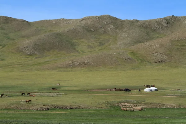 Mongoolse landschappen — Stockfoto